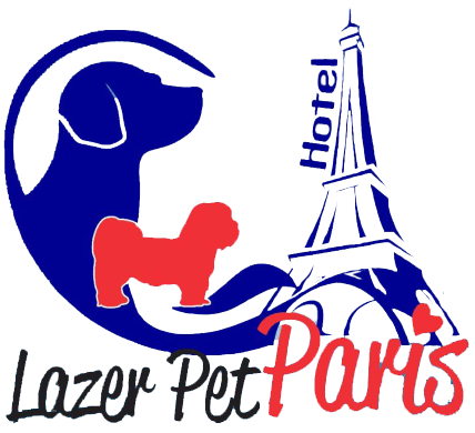 viagem com animais de estimação,hotel pet friendly,hospedagem de animais,hotel para cachorros,pet sitter,cuidados com animais de estimação,férias com animais de estimação,hotel de luxo para animais,cães de estimação,hotel pet em São José dos Pinhais PR,alimentação para animais de estimação,pet spa,recreação para animais de estimação,serviços para animais de estimação,segurança para animais de estimação,conforto para animais de estimação,bem-estar animal,experiência pet friendly.