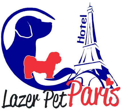 viagem com animais de estimação,hotel pet friendly,hospedagem de animais,hotel para cachorros,pet sitter,cuidados com animais de estimação,férias com animais de estimação,hotel de luxo para animais,cães de estimação,hotel pet em São José dos Pinhais PR,alimentação para animais de estimação,pet spa,recreação para animais de estimação,serviços para animais de estimação,segurança para animais de estimação,conforto para animais de estimação,bem-estar animal,experiência pet friendly.